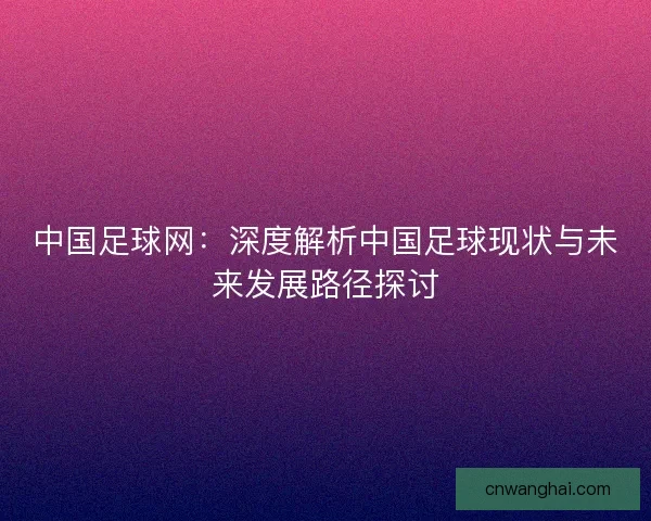 中国足球网：深度解析中国足球现状与未来发展路径探讨
