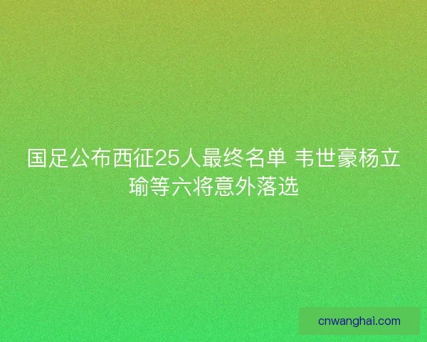 国足公布西征25人最终名单 韦世豪杨立瑜等六将意外落选